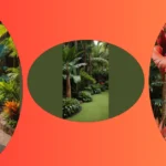 Create Your Own Tropical Oasis with 18 Stunning Plants