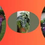 **Embracing the Shadows: 15 Unique Planters for Shade-Loving Plants**