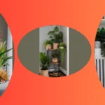 Spruce Up Your Space: 20 Indoor Plant Decor Ideas for Your Home
