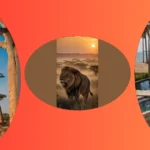 Journey Through Africa: 18 Photo Ideas Waiting for Your Lens