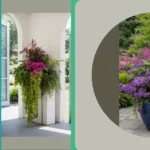 Green Thumbs Up: 15 Ingenious Planters for Shade Lovers