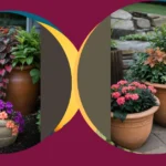 Shade-Busting Planters: Creative Ideas for Your Green Haven