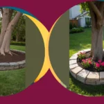 Crafting Beautiful Tree Bases: 15 Ideas for Front Yards