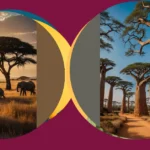 Capture Africa: An Artful Photography Journey