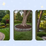 Rocking the Tree Base: 15 Unique Landscape Ideas for Your Yard