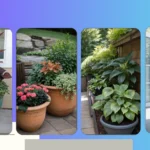 Creative Planters for Shadowy Spots: 15 Unique Ideas to Brighten Your Space