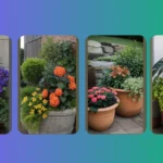 The Ultimate Guide to Shade-Friendly Planters: 15 Whimsical Ideas!