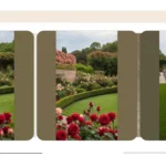 Paths to Petals: Unique Plans for Your Rose Oasis