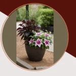 Quirky and Charming Planters: 15 Ideas for Shady Corners