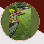 Elevate Your Yard: 15 Unique Tree Landscaping Concepts