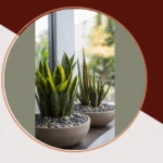 Make Your Living Room Bloom: 20 Indoor Plant Ideas