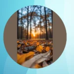 Swipe Right on 21 iOS Wallpapers for Every Mood