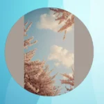 Cozy Up Your Screens with 19 Aesthetic Fall Wallpapers