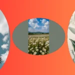 Discover 21 iOS Wallpaper Ideas to Spice Up Your Screen