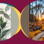 Screen Dreams: 21 iOS Wallpaper Ideas for Every Mood