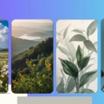 Elevate Your Home Screen with These 21 Stunning iOS Wallpaper Ideas**  
**