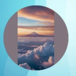 Discover 17 Adorable Wallpaper Ideas for a Lively Screen