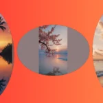 17 Adorable Wallpaper Ideas to Adorn Your Phone and Your Heart