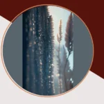 Calming Your Workspace: 17 Aesthetic Wallpapers for Every Mood