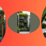 Home Garden Wonders: 15 Easy Solutions for Your Green Space