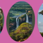 Capture the Wild: 17 Nature Photography Ideas from Africa