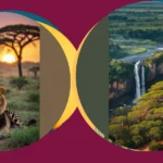 Nature’s Lens: 17 Must-Try Photography Ideas in Africa