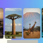 Capturing Africa: 17 Nature Photography Ideas You Can’t Miss!