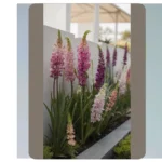 17 Minimalist Front Yard Ideas for the Modern Homeowner