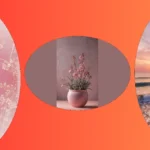 Embracing the Girly Vibe: 15 Pastel Pink Wallpapers for Your iPhone**  
**