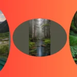 Nature Awaits: 21 Unique Photography Ideas to Spark Your Creativity