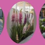 17 Minimalist Front Yard Ideas for a Curb Appeal Boost