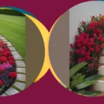 Petal Power: 17 Flower Garden Ideas to Spruce Up Your Outdoors**  
**