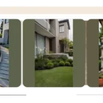 Discover 17 Effortless Minimalist Landscaping Ideas for Your Front Yard**  
**