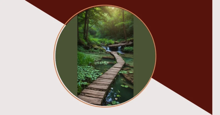 Snap Away! 21 Nature Photography Ideas You Must Try