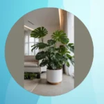 From Tall to Small: Houseplant Ideas to Revive Your Interiors