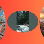 Classy Yet Cute: 19 Nature Wallpapers You Need Right Now