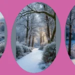 Frosty Wonderland: 20 Aesthetic Landscapes to Refresh Your Devices