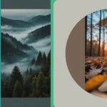 Revitalize Your Screens: 19 Nature Wallpaper Inspirations to Brighten Your Day