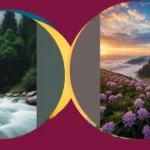 19 Nature Wallpaper Aesthetics: Spruce Up Your Screens with Style!