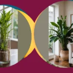 Elevate Your Indoor Oasis: 16 Houseplant Inspirations for Home