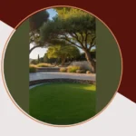 Small But Mighty: 15 Fun Garden Ideas for Tight Spaces