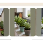 Herbs for the Holidays: Your Guide to Indoor Gardening Success
