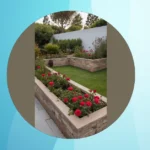 Unveiling the Secrets of Stunning Rose Front Yard Designs