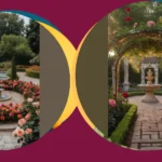 The Art of Arranging: Front Yard Roses that Wow!