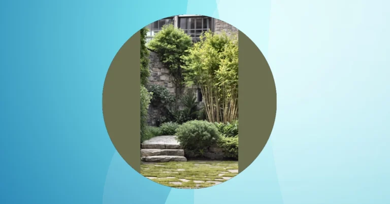 Tiny Gardens, Big Wonders: 15 Small Garden Ideas for Every Budget