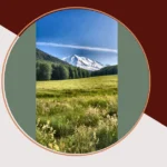 Snap in the Snow: 17 Aesthetic Ideas for Mountain Photography**  
**